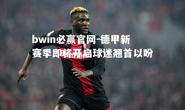 德甲新赛季即将开启球迷翘首以盼