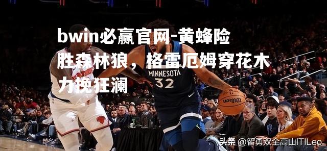 黄蜂险胜森林狼，格雷厄姆穿花木力挽狂澜