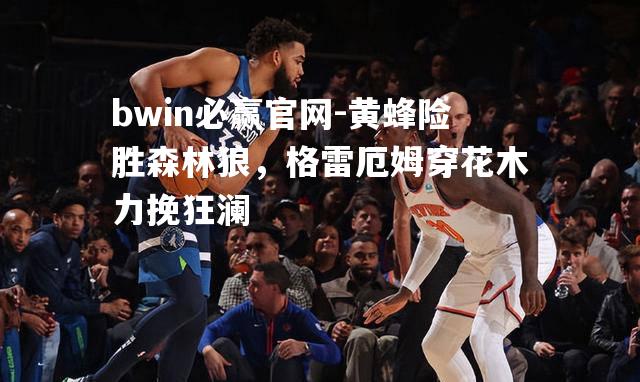 黄蜂险胜森林狼，格雷厄姆穿花木力挽狂澜